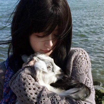 洋烟流毒